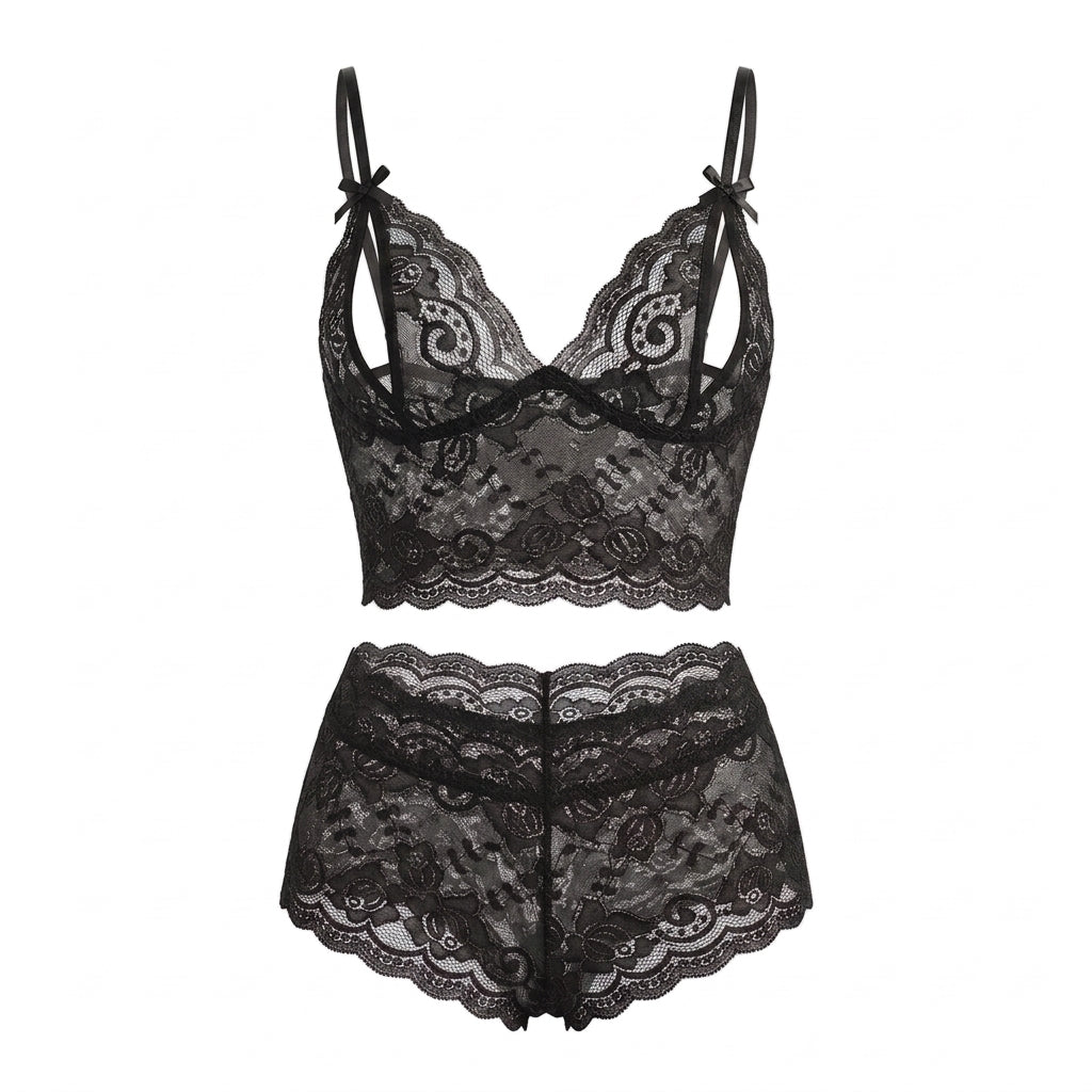 Embroidered Lace Mesh Bra and Panty Matching Lingerie Set
