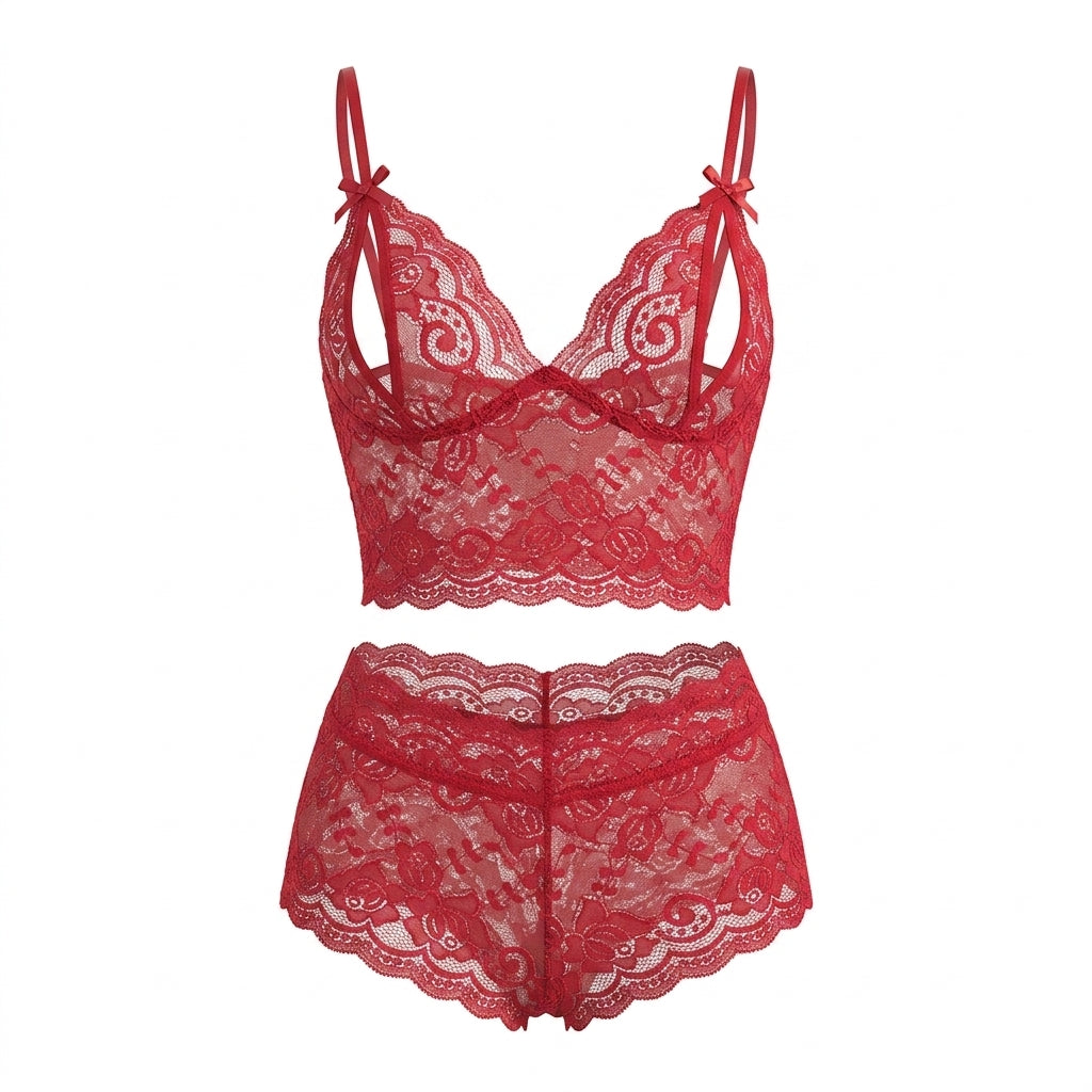 Embroidered Lace Mesh Bra and Panty Matching Lingerie Set