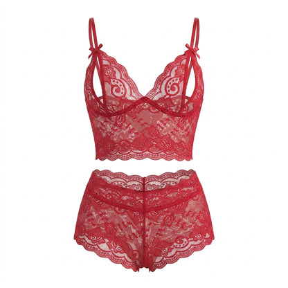 Embroidered Lace Mesh Bra and Panty Matching Lingerie Set