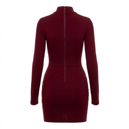 Long Sleeve Mock Neck Ruched Bodycon Mini Dress