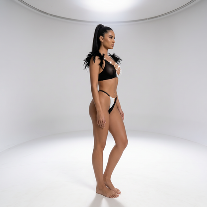 Feather Trim Sheer Mesh Bra and Panty Set