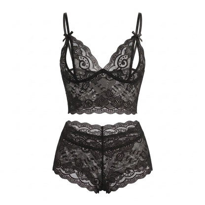 Embroidered Lace Mesh Bra and Panty Matching Lingerie Set