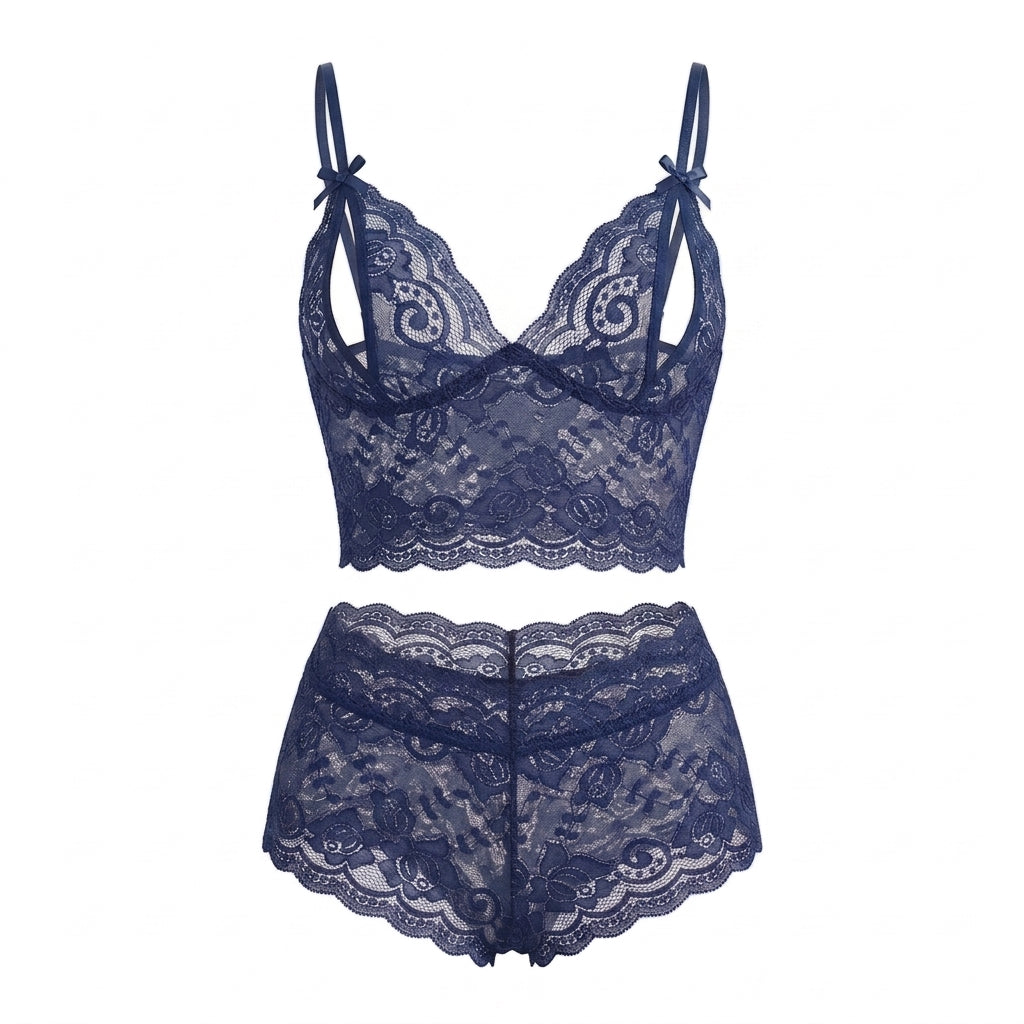 Embroidered Lace Mesh Bra and Panty Matching Lingerie Set