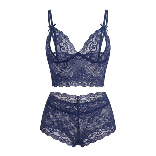 Embroidered Lace Mesh Bra and Panty Matching Lingerie Set
